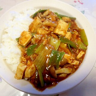 豆腐入りネギカレー